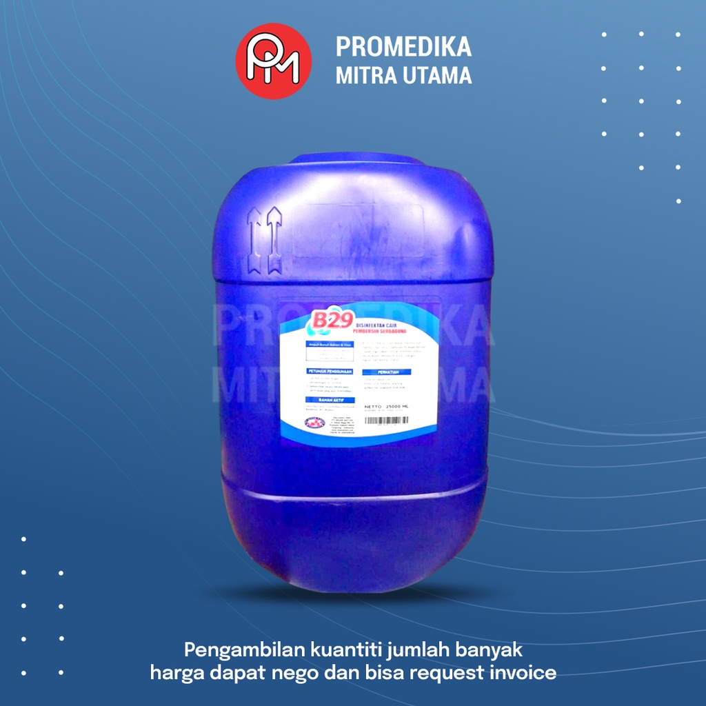 Disinfektan B-29 25L