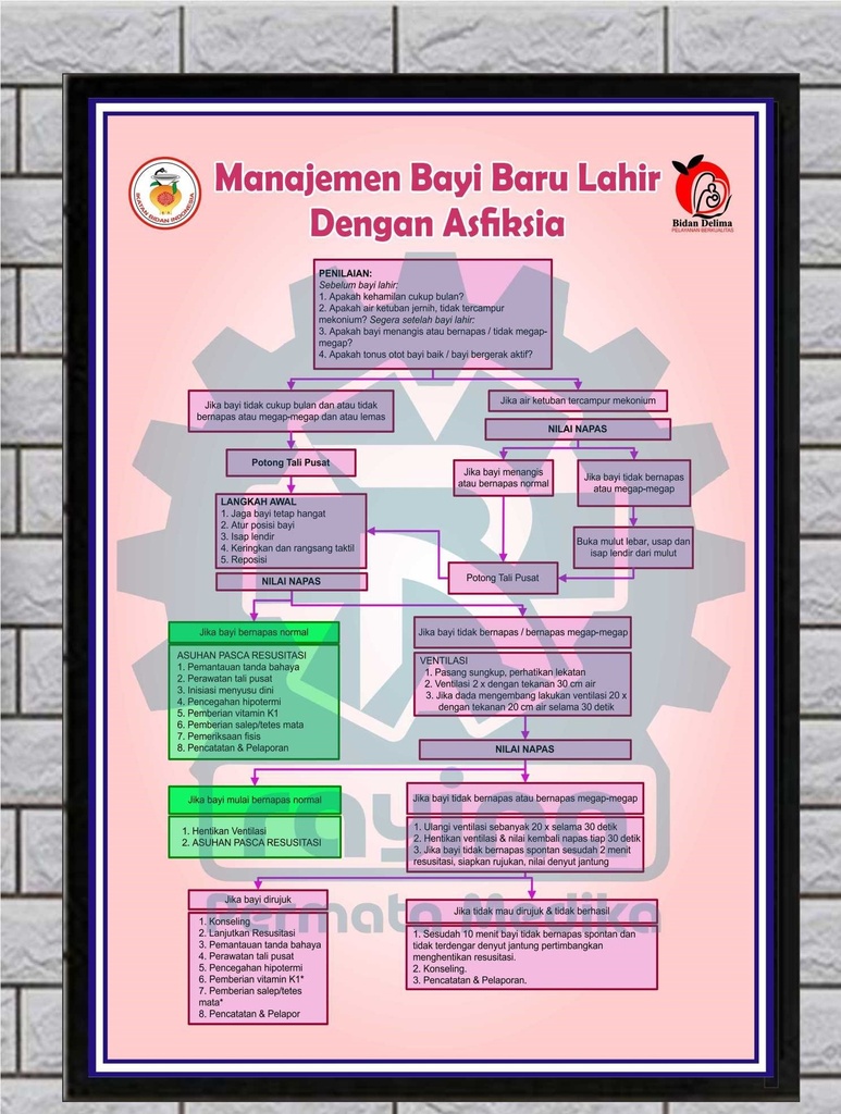 Poster Manajemen Bayi Baru Lahir dengan Asfiksia