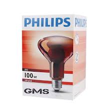 Lampu Philips 100watt