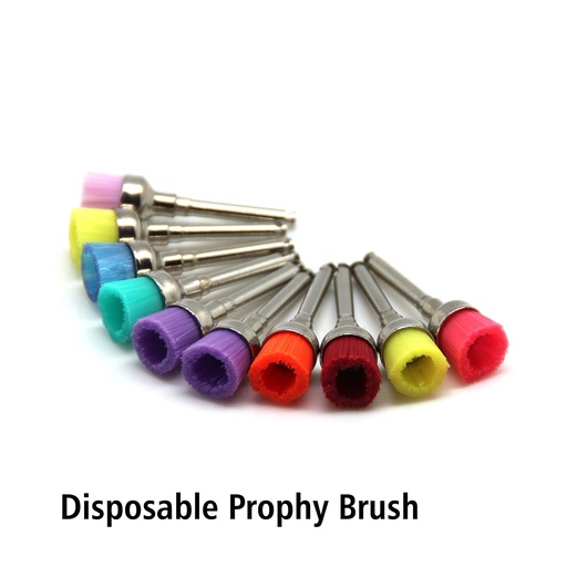 Prophy Brush Gigi